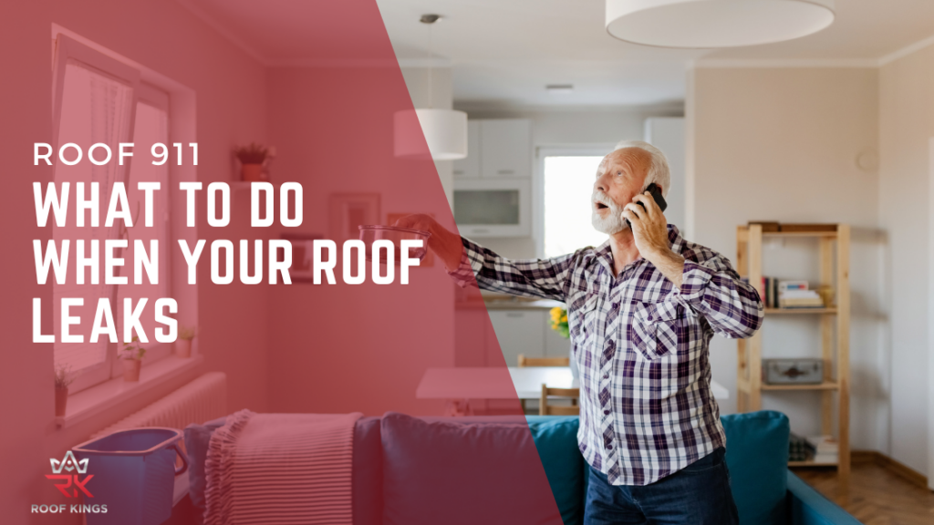 Roof 911: What to Do When Your Roof Leaks